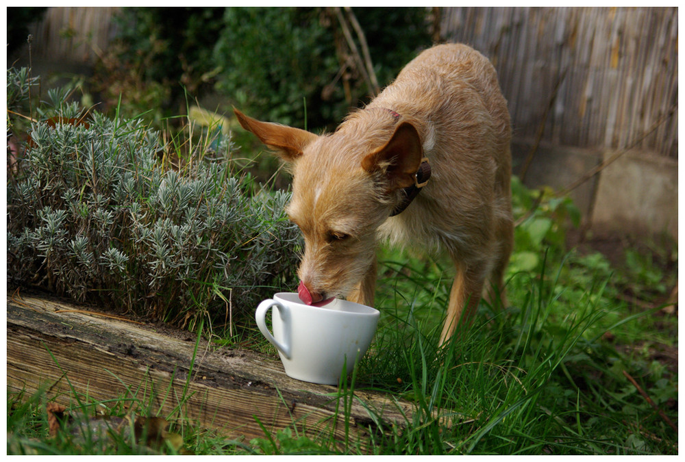 kleine Kaffeepause