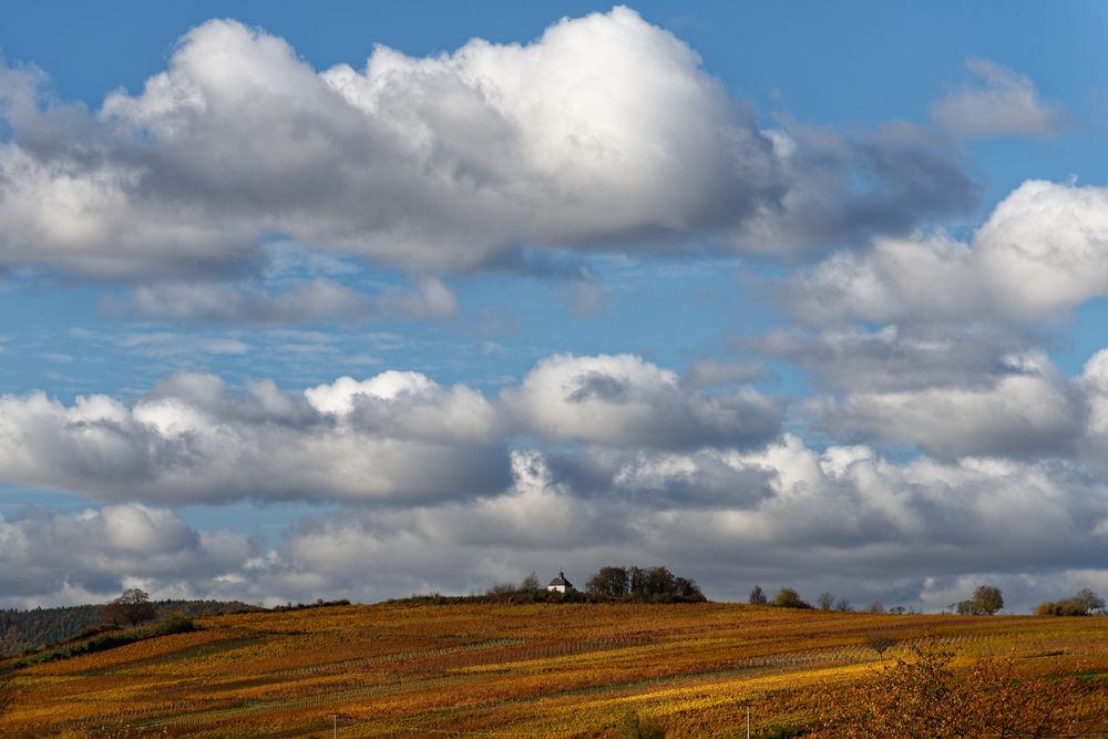 Kleine Kalmit im Herbst