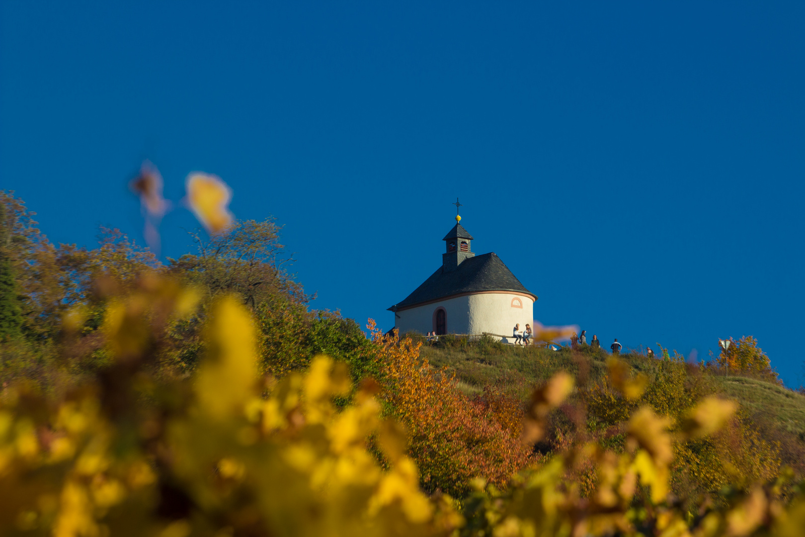 Kleine Kalmit im Herbst