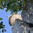 kleine Kapelle in der Provence