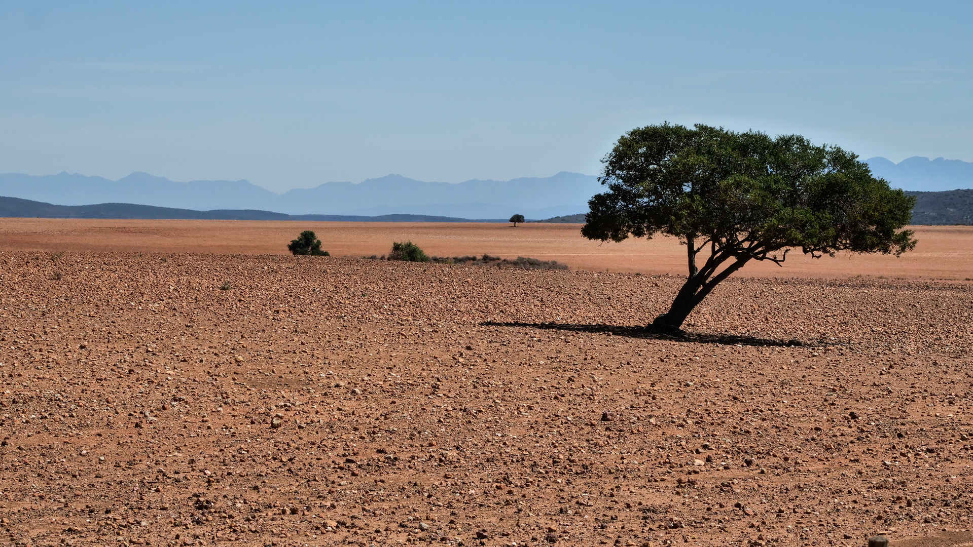 Kleine Karoo