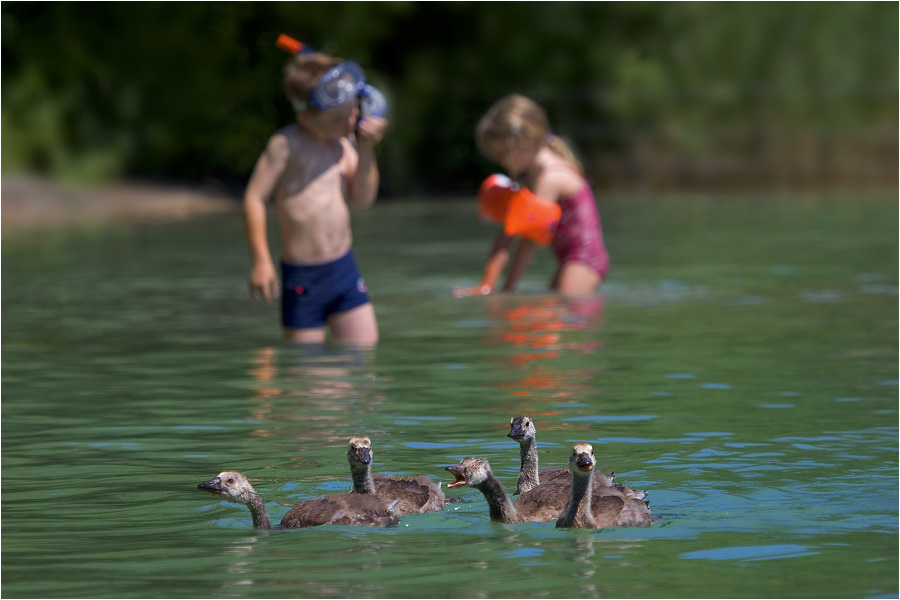 Kleine Kinder baden gerne ...