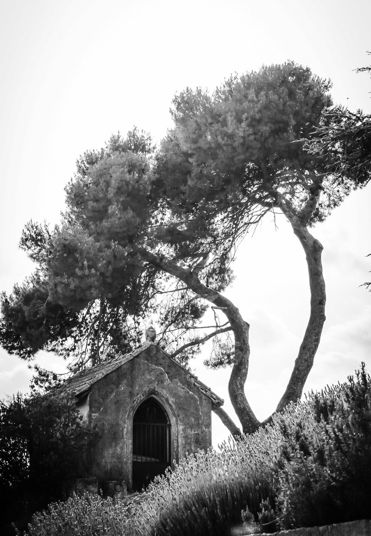 Kleine Kirche mit großen Bäumen