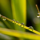 Kleine Kunstwerke der Natur