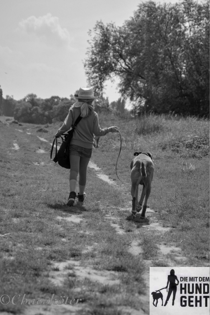 Kleine Lady mit großem Freund 