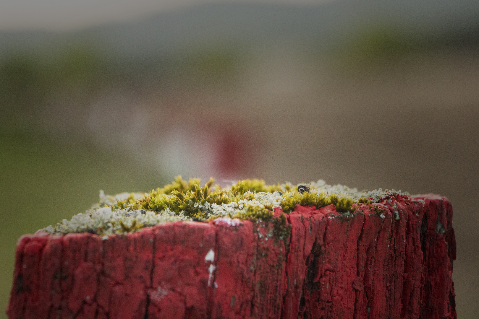 Kleine Landschaft