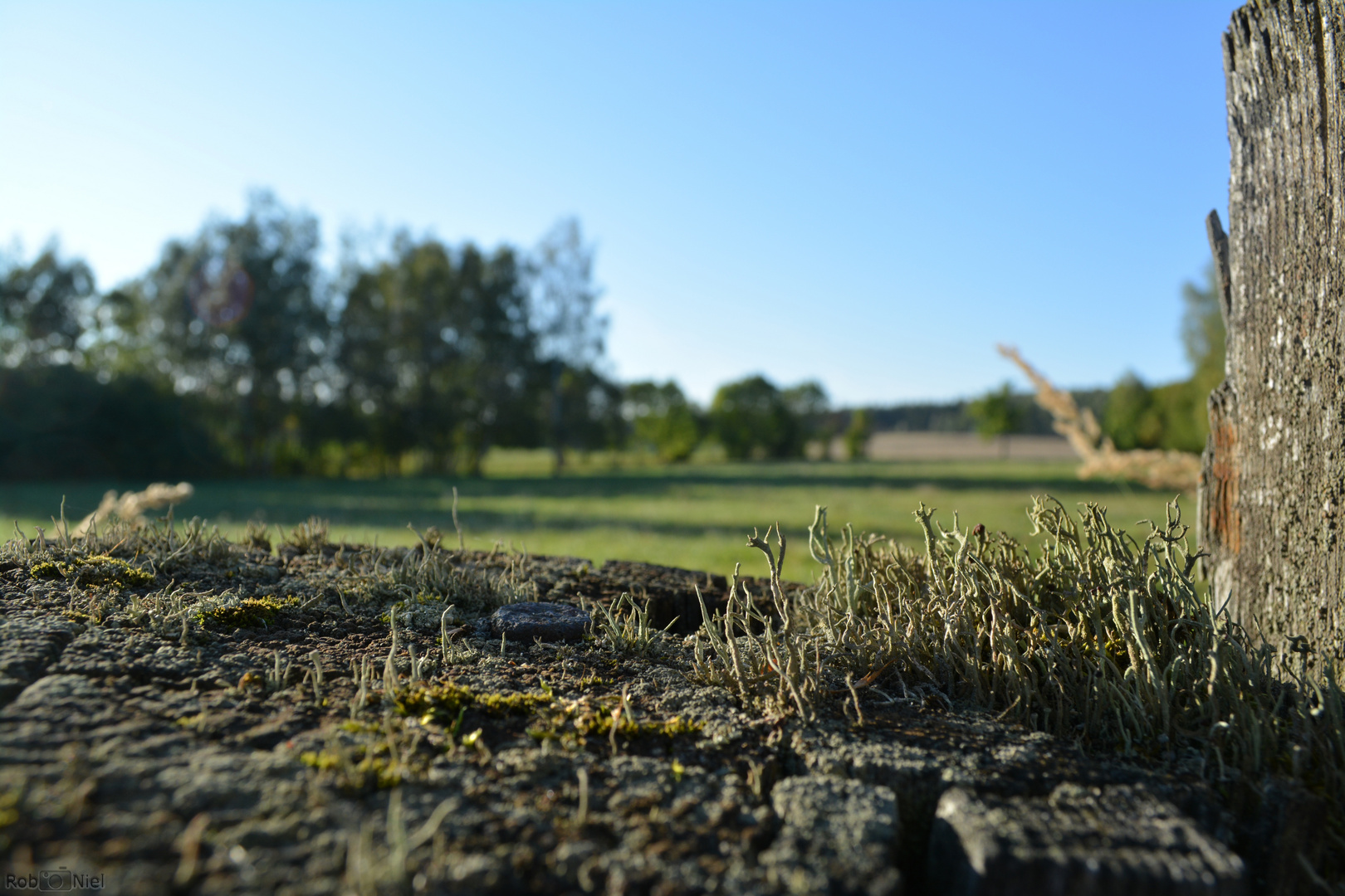 Kleine Landschaft