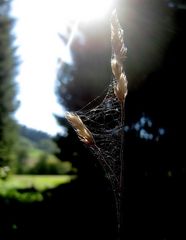 Kleine Landschaft