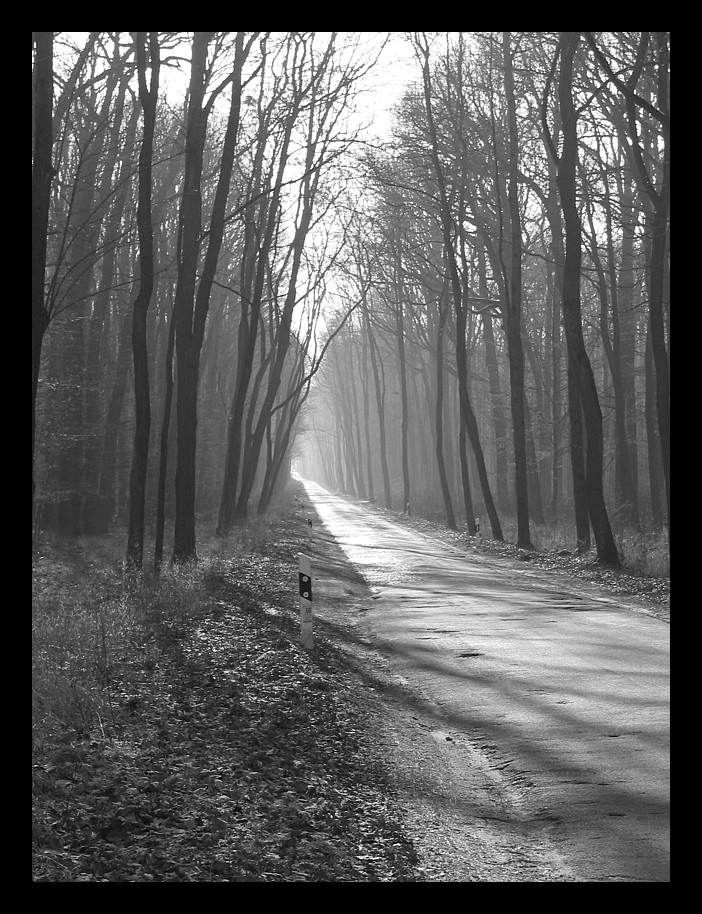 Kleine Landstraße in Brandenburg