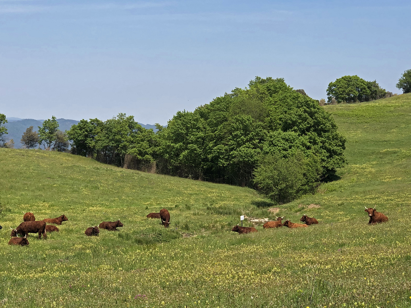 Kleine Landwirtschaft in La Garrotxa.