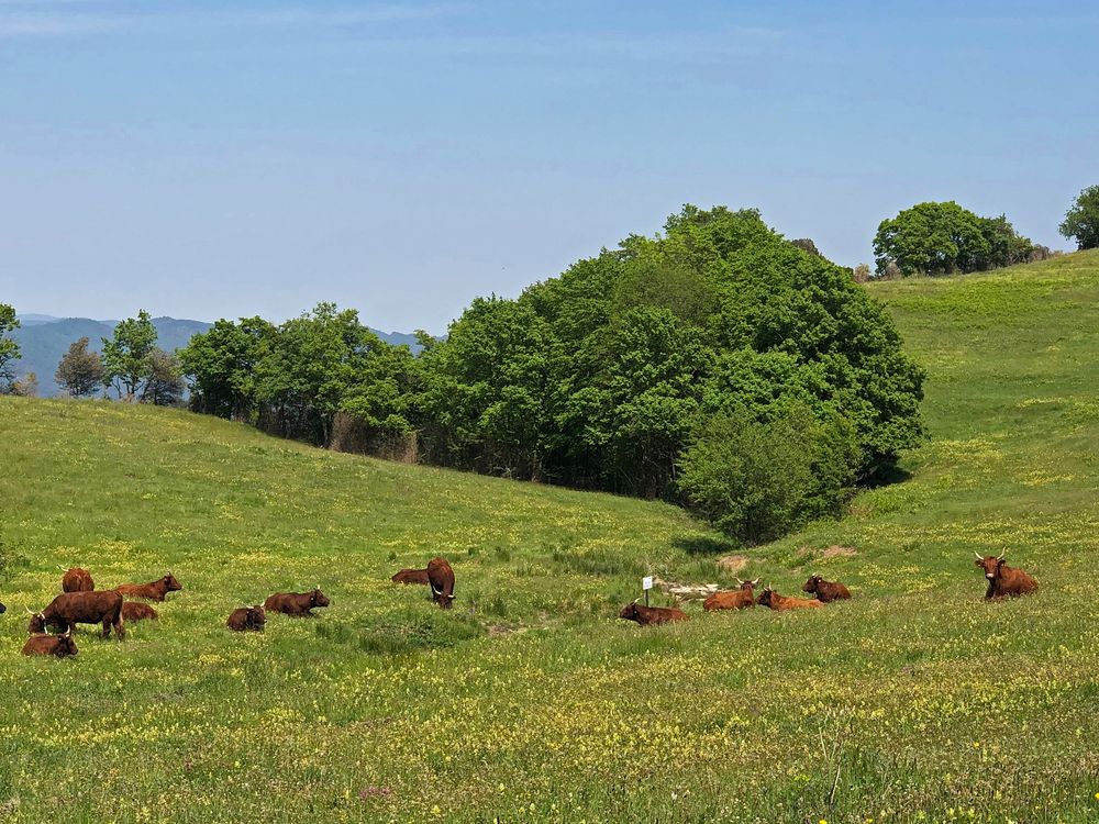 Kleine Landwirtschaft in La Garrotxa.