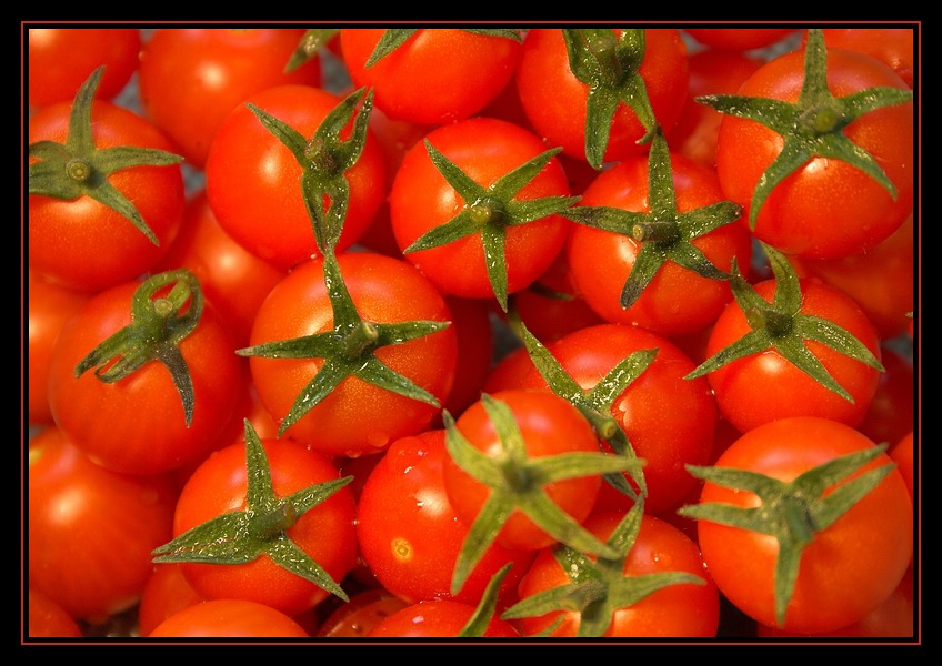 kleine leckere Tomaten No°7