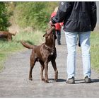 kleine Leckereien erhalten die Freundschaft