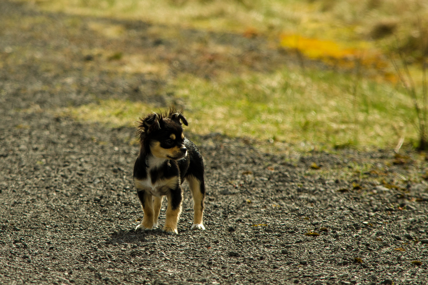 kleine Lina