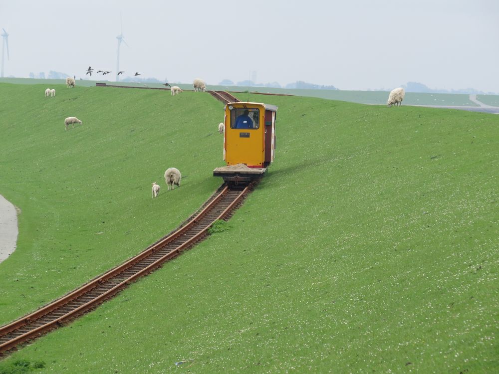 Kleine Lok am Deich