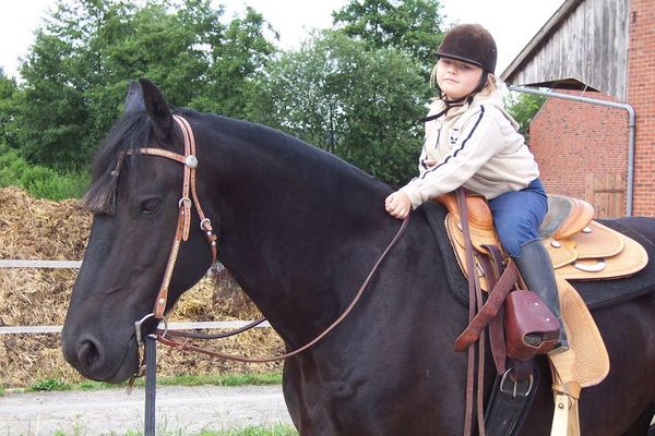 Kleine Maus großes Pferd