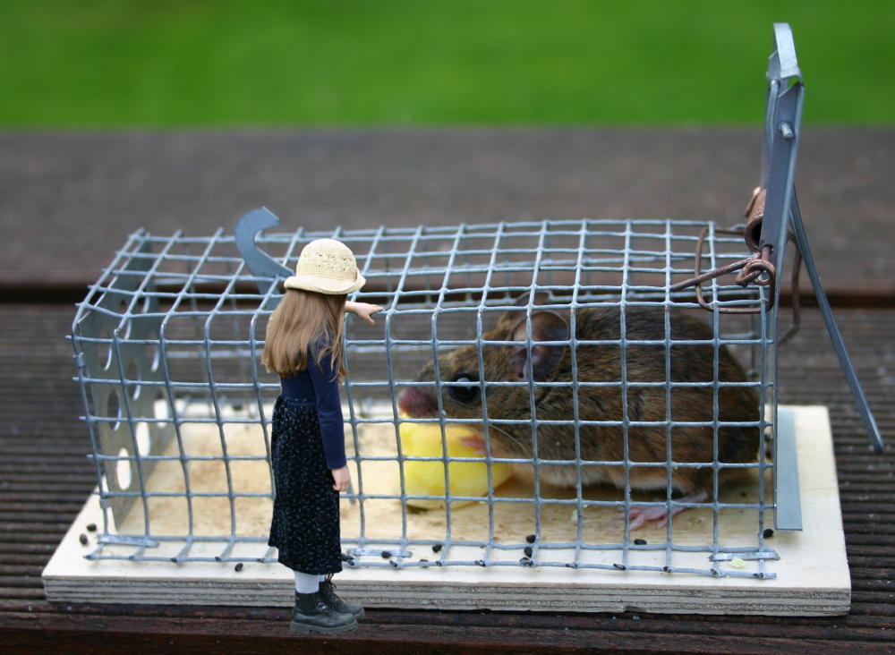 kleine Maus hilft großer Maus........