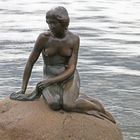 kleine Meerjungfrau Kopenhagen