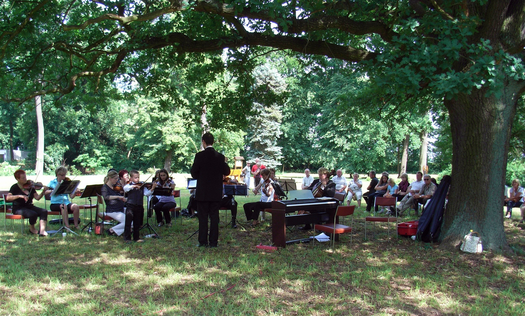 Kleine Meister ganz groß. Musizieren unter der Eiche im Park Triestewitz.