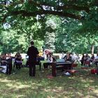 Kleine Meister ganz groß. Musizieren unter der Eiche im Park Triestewitz.