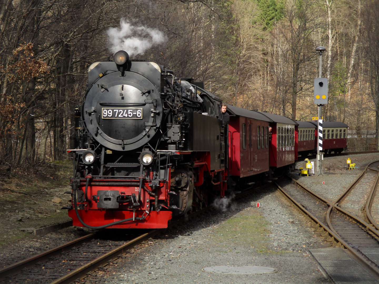 Kleine Mittagsrunde mit der HSB nach Eisfelder Talmühle.