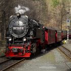 Kleine Mittagsrunde mit der HSB nach Eisfelder Talmühle.