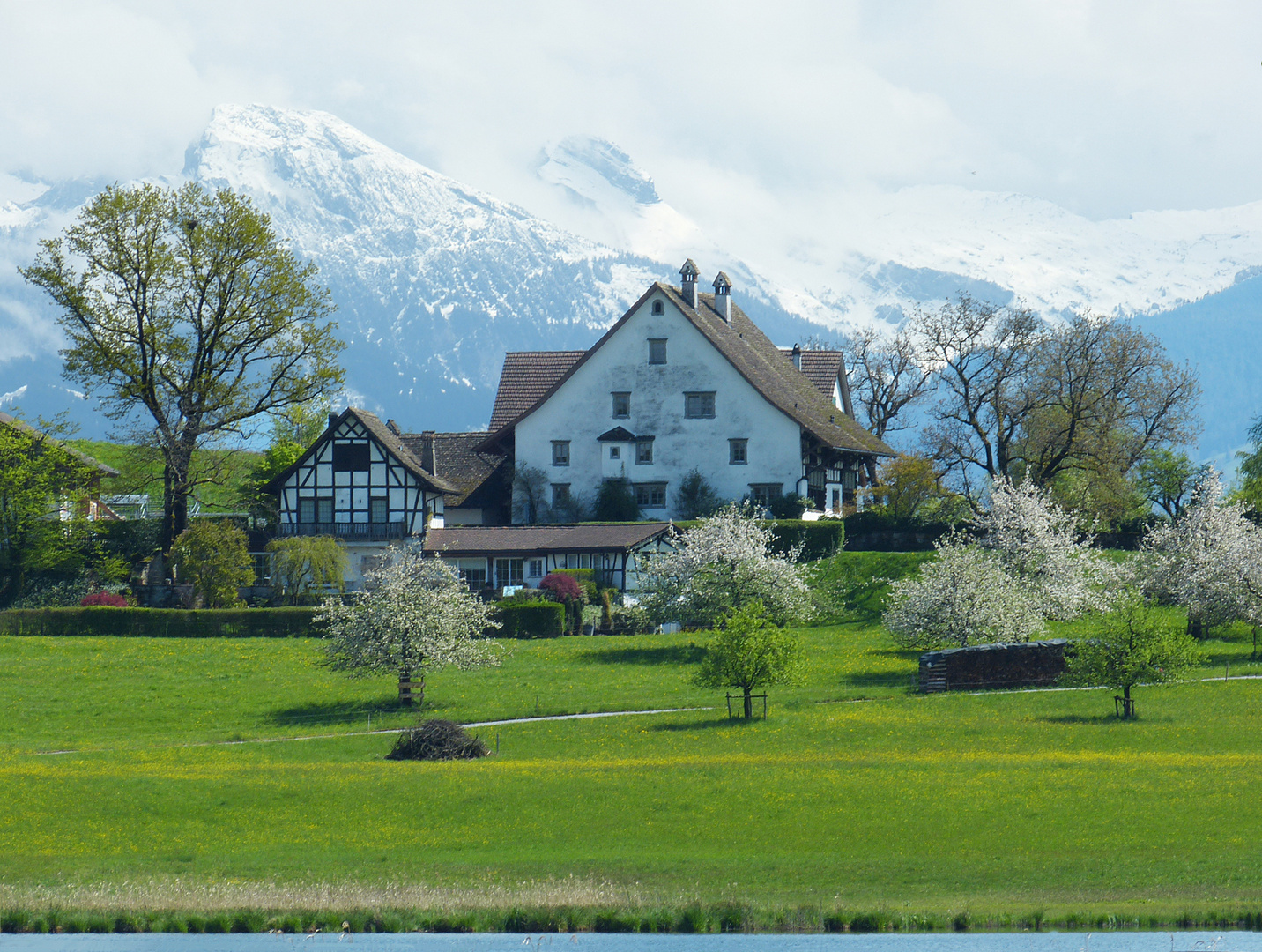 kleine Mittwochsblümchen