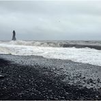 Kleine Möwe am schwarz-weißen Strand von Reynisvjara