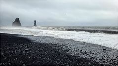 Kleine Möwe am schwarz-weißen Strand von Reynisvjara