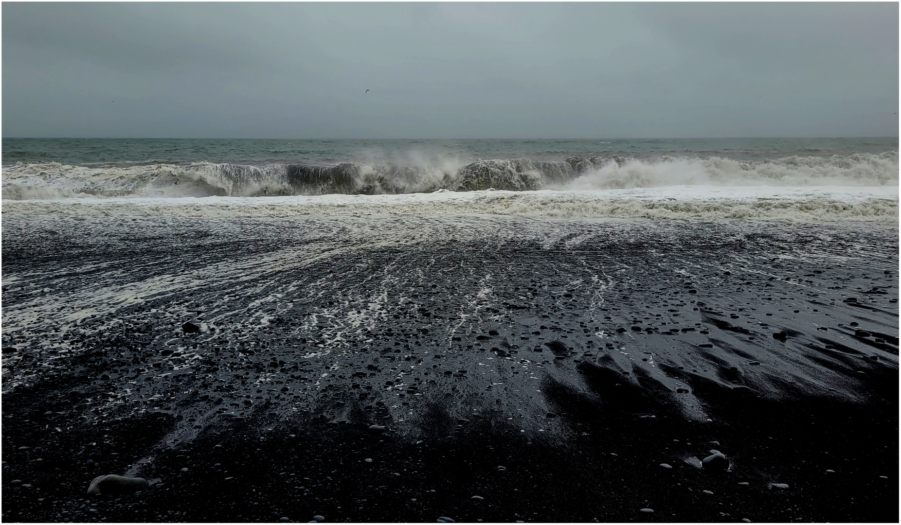 Kleine Möwe am schwarz-weißen Strand von Reynisvjara (I)