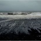 Kleine Möwe am schwarz-weißen Strand von Reynisvjara (I)