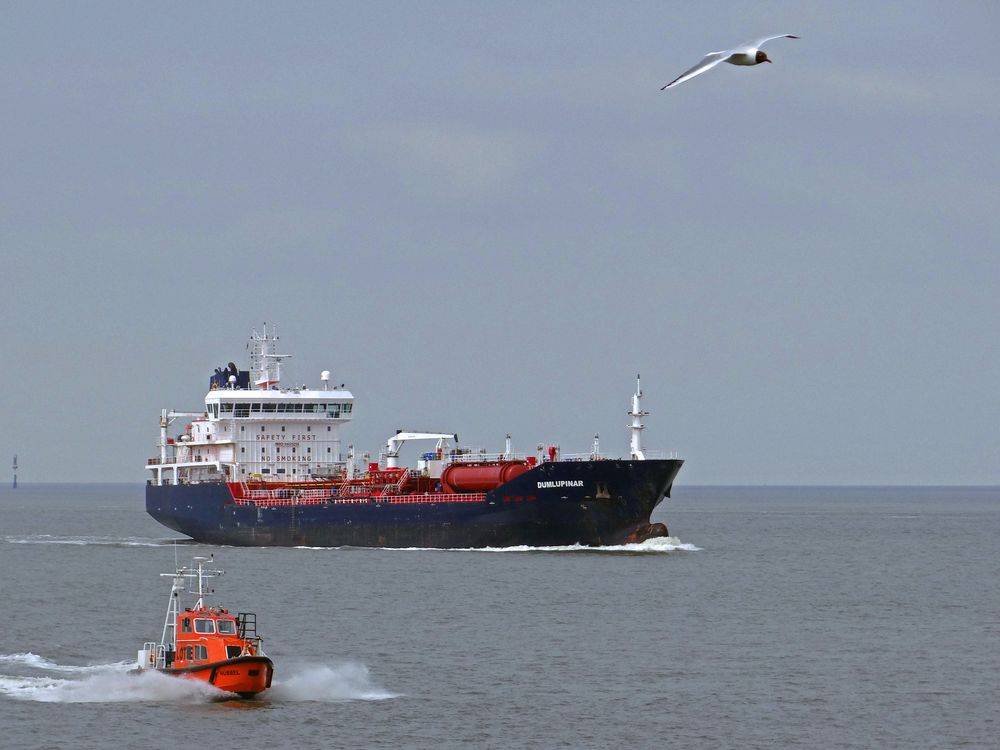 kleine Möwe, flieg nach Helgoland