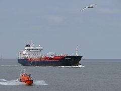 kleine Möwe, flieg nach Helgoland