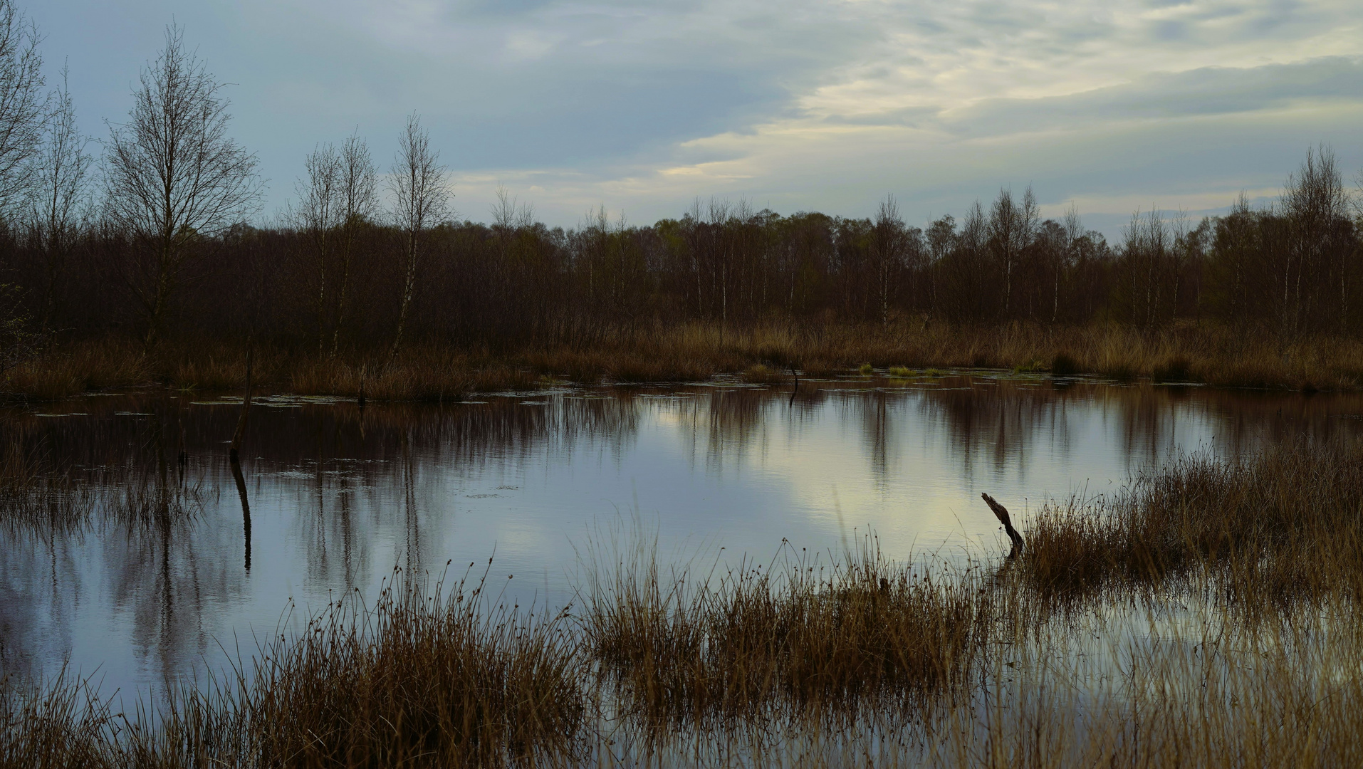 Kleine Moorwanderung