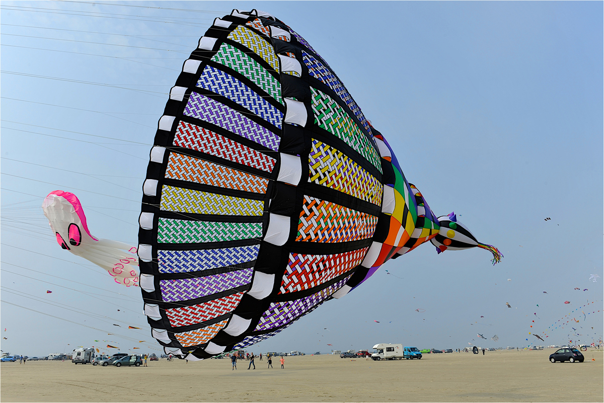 Kleine Mütze flieg