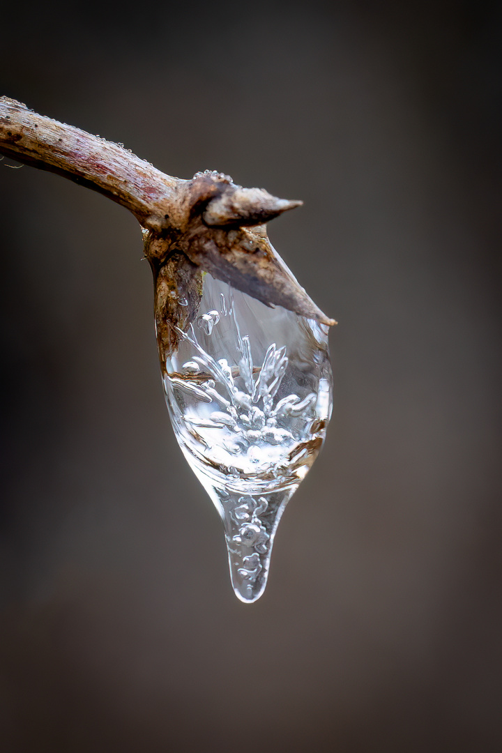 Kleine Naturwunder