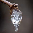 Kleine Naturwunder