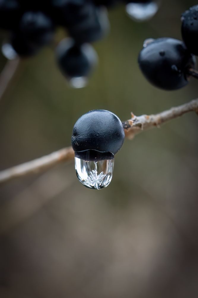 Kleine Naturwunder