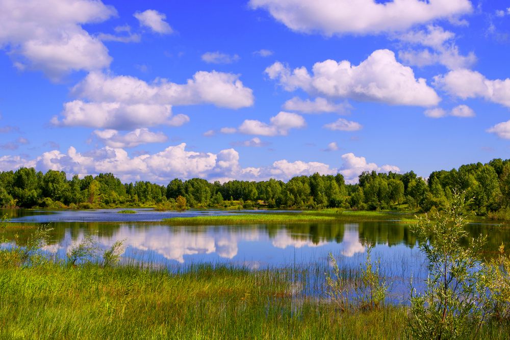 Kleine Oase in der Steppe