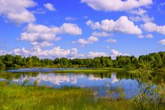 Kleine Oase in der Steppe