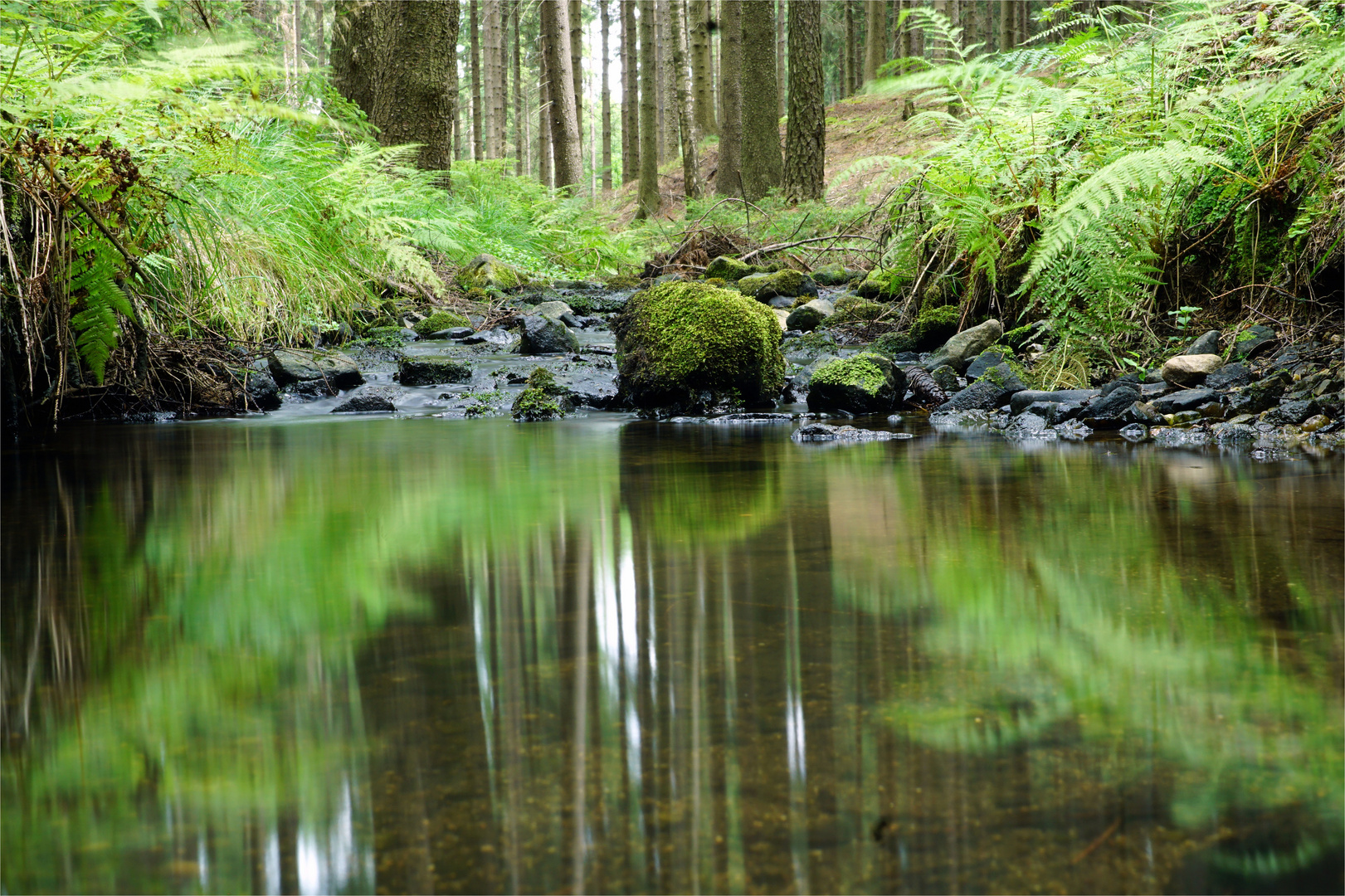 Kleine Oase - Waldbach