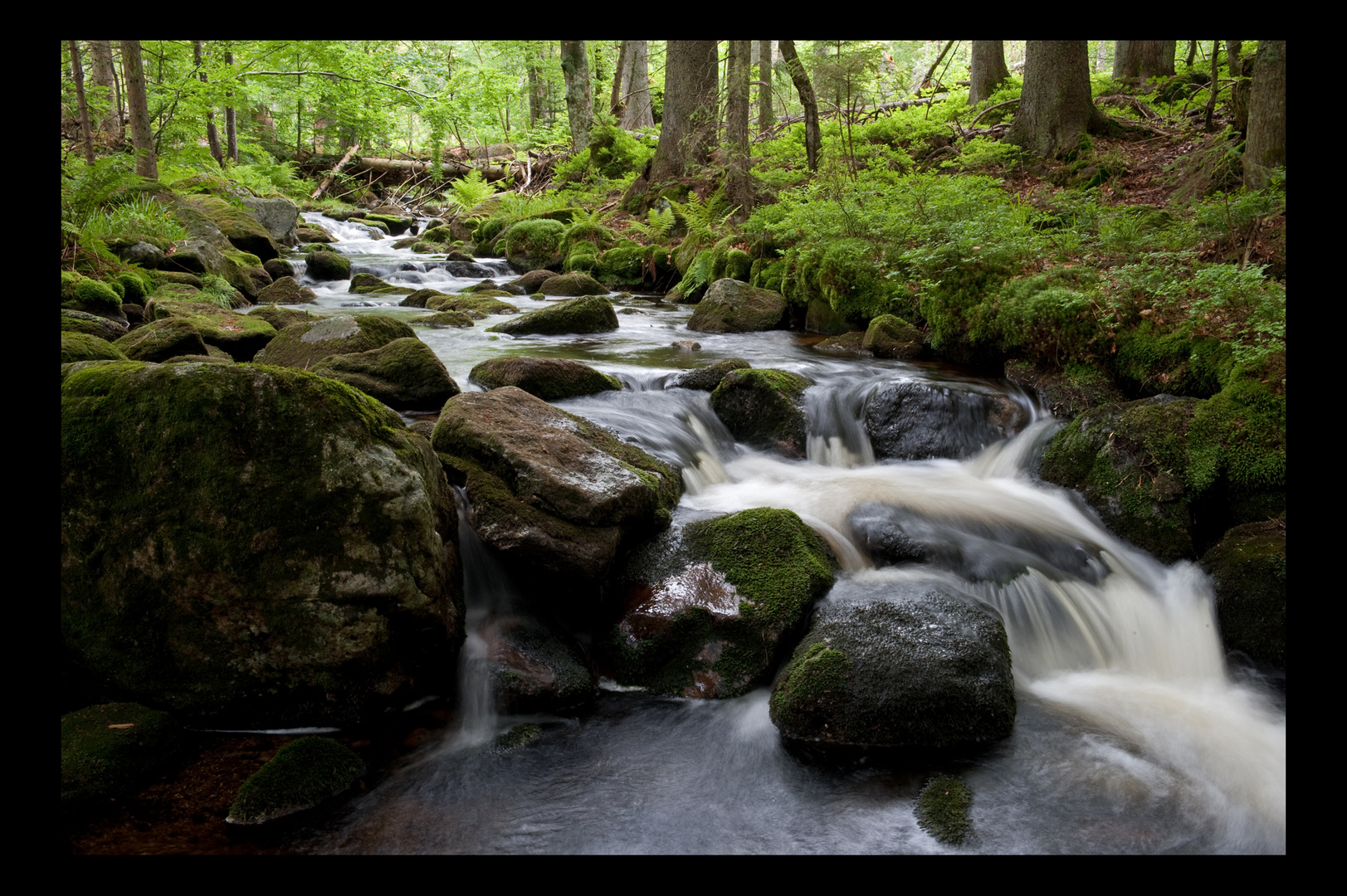 Kleine Ohe (2) - Nationalpark Bayerischer Wald