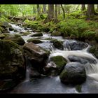 Kleine Ohe (2) - Nationalpark Bayerischer Wald