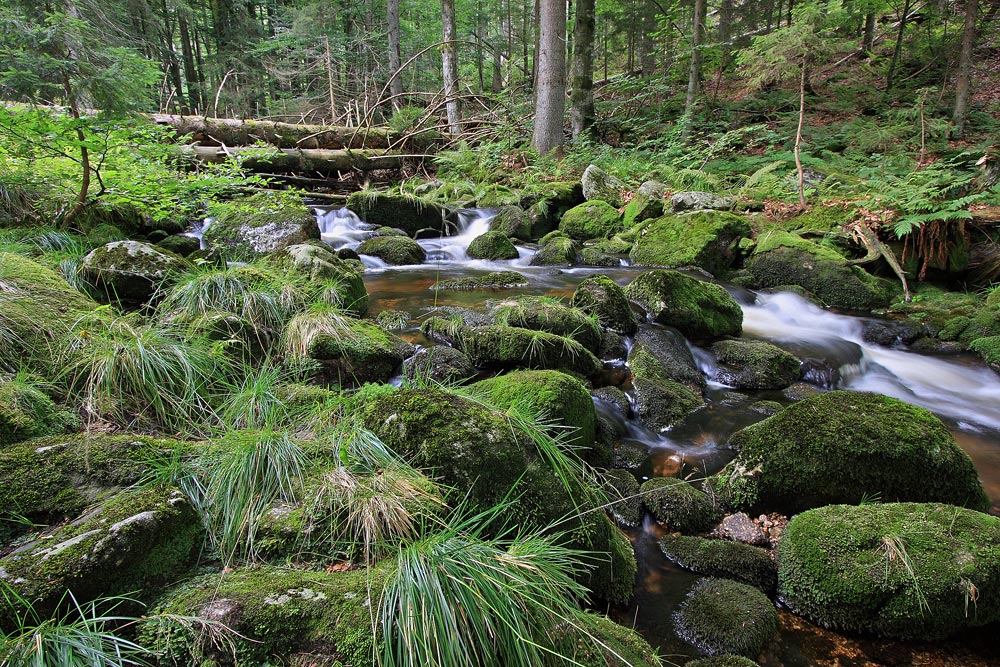 Kleine Ohe Foto & Bild deutschland, europe, bayern Bilder auf