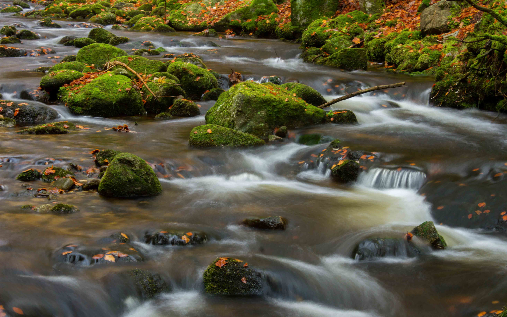Kleine Ohe Bayerischer wald Foto & Bild landschaft, bach, fluss & see
