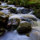 "Kleine Ohe" im Bayrischen Wald (II)