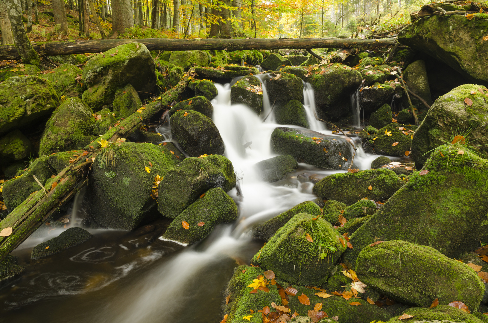 Kleine Ohe im Herbst