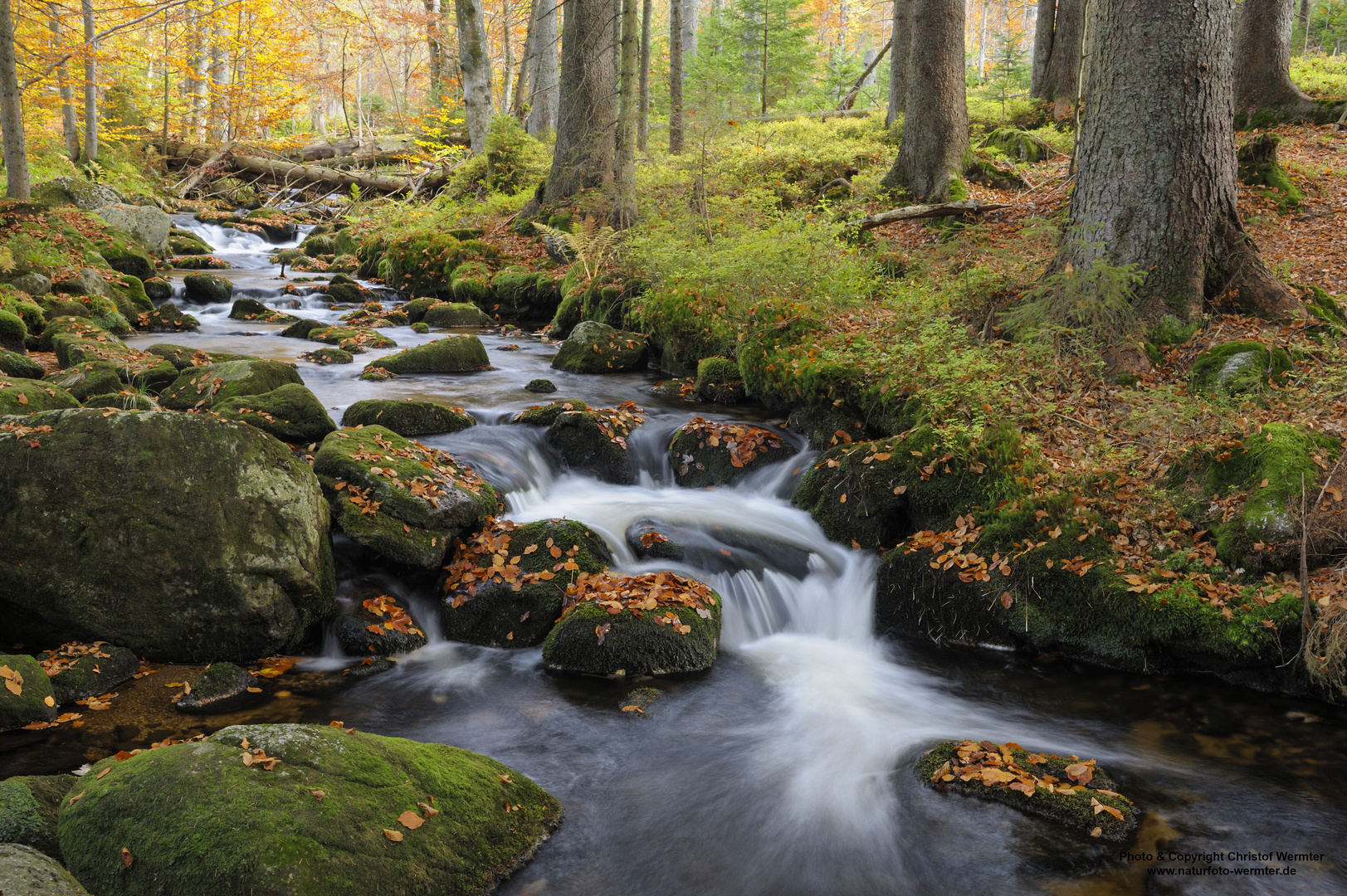 Kleine Ohe im Herbst