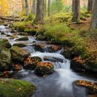 Kleine Ohe im Herbst