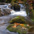 Kleine Ohe - Wasserfall 3